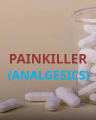 painkiller-120805060218-phpapp01 cover