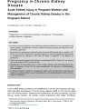 PREGNANCY IN CHRONIC KIDNEY DISEASE cover