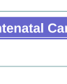 ANTENATAL CARE cover