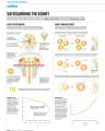 SAFEGUARDING THE KIDNEY cover