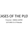 DISEASES OF THE PLEURA cover