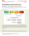 PHENOTYPING THE HYPERTENSIVE HEART cover