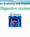structureandfunctionsofliver-200819145350-1 cover