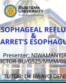 GERD & BARRET ESOPHAGUS cover