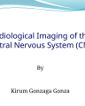 Radiological Imaging of the CNS cover