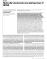 MOLECULAR MECHANISMS AND PATHOGENESIS OF MASH cover