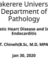 RHEUMATIC HEART DISEASE AND INFECTIVE ENDOCARDITIS cover