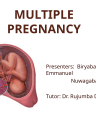 MULTIPLE PREGNANCY - Emma n Prize (2) cover