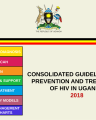 guidelines for prevention and treatment of HIV in uganda cover