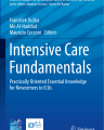 Intensive Care Fundamentals: Practically Oriented Essential Knowledge for Newcomers to ICUs cover