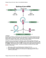 USMLE BIOCHEMISTRY NOTES cover