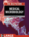 The big picture medical microbiology cover
