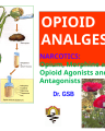 Narcotic-Opioid Analgesics May 2015 (2) cover