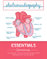 Electrocardiography Essentials cover