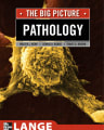 William Kemp-Pathology The Big Picture (2007) -466257514 cover