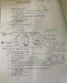 ENT paper-11 Answered FINAL cover