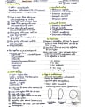 Imed Osce cover