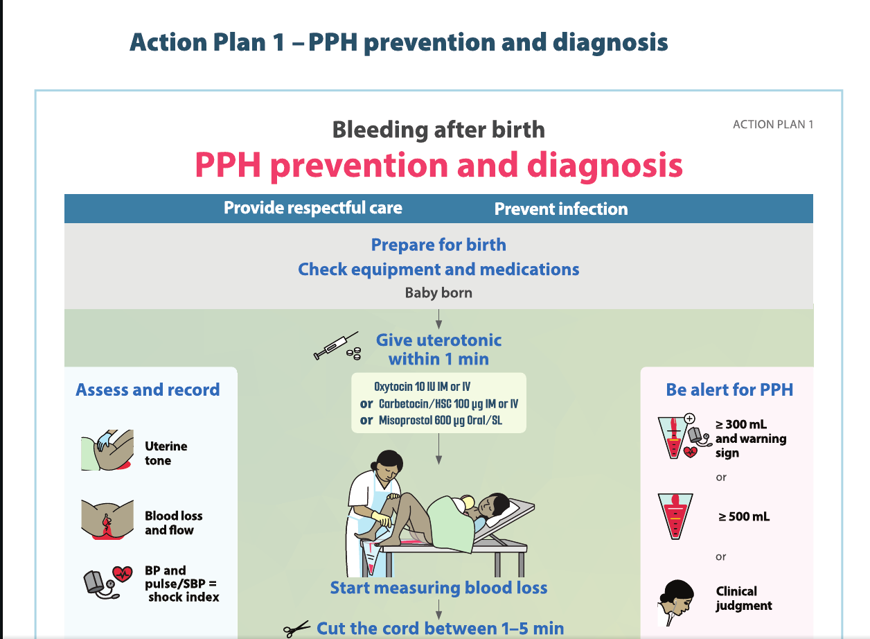 Action Plan - PPH Prevention and Diagnosis