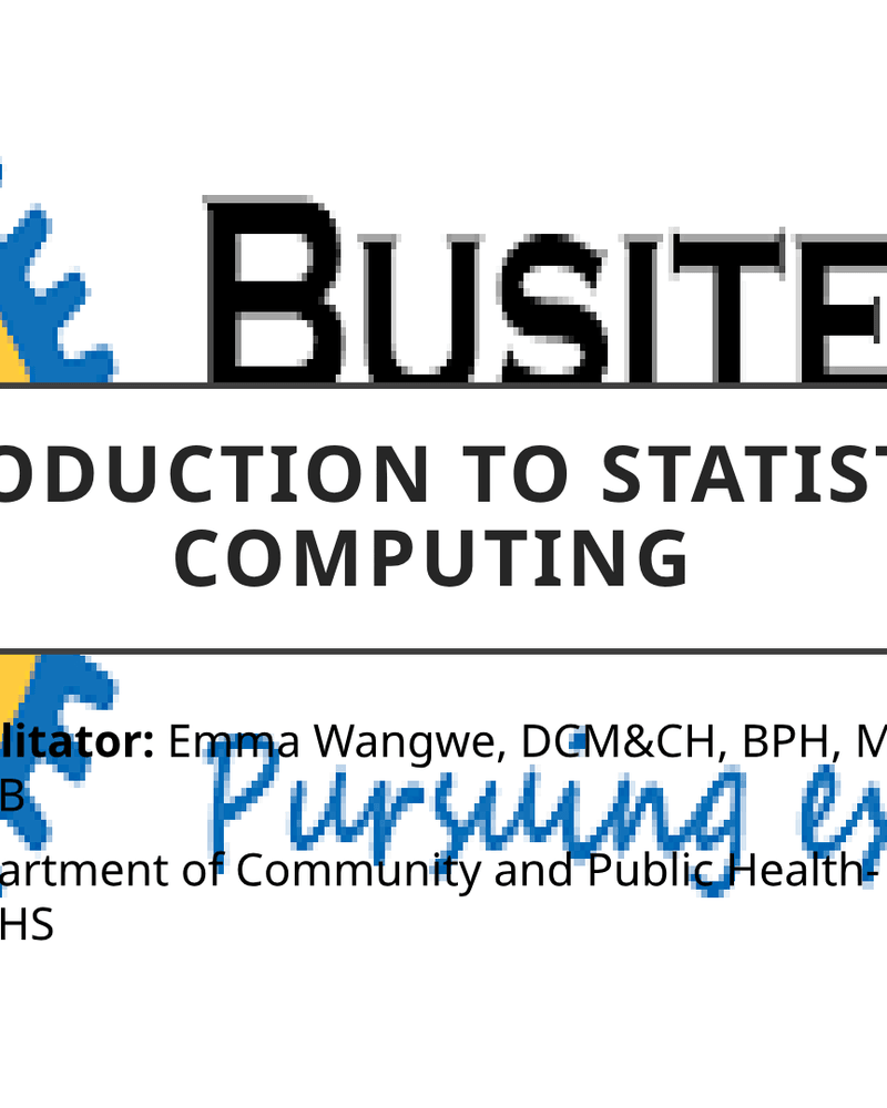 Introduction to Statistical Computing cover