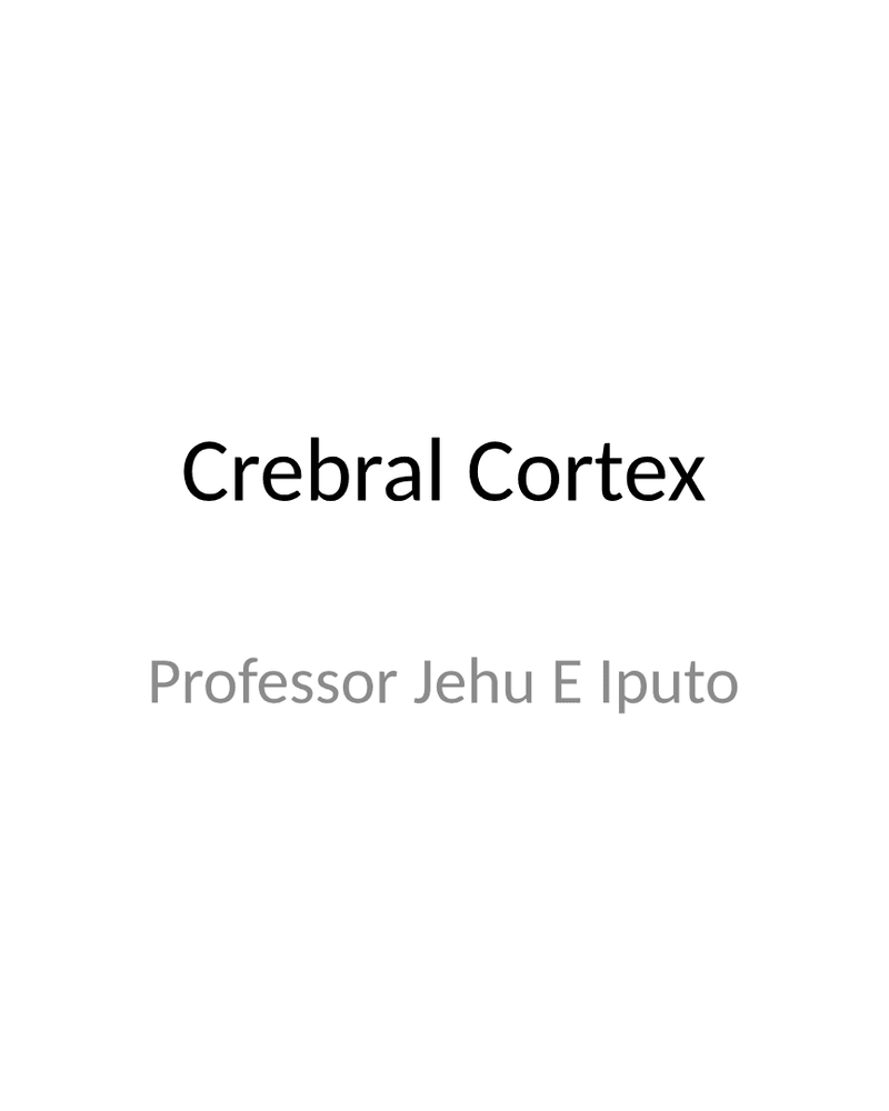 Cerebral Cortex cover