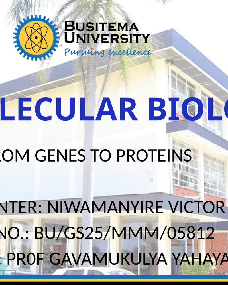 Molecular Biology: From Genes to Proteins cover