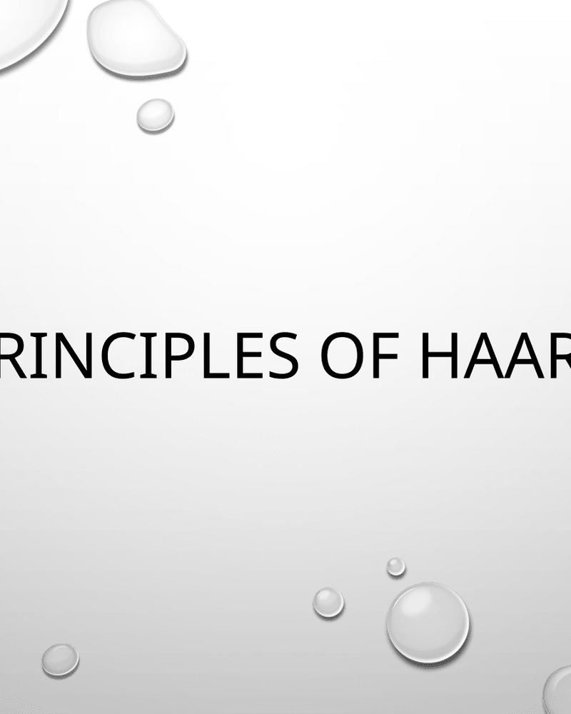 PRINCIPLE OF HAART cover