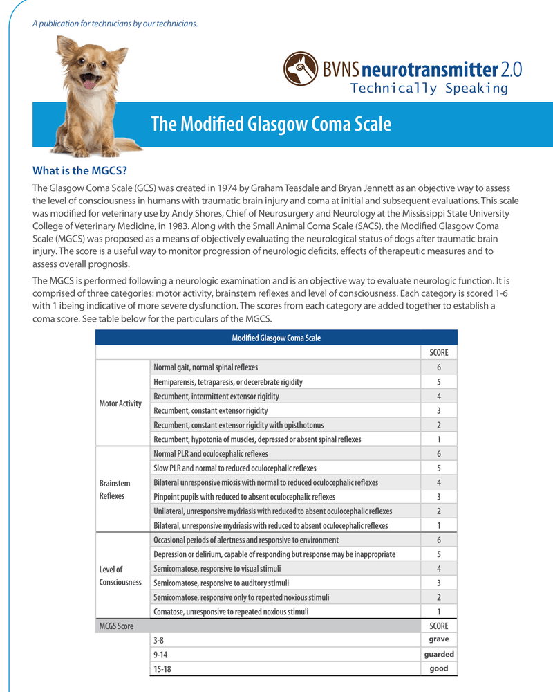 THE MODIFIED GLASGOW COMA SCALE cover