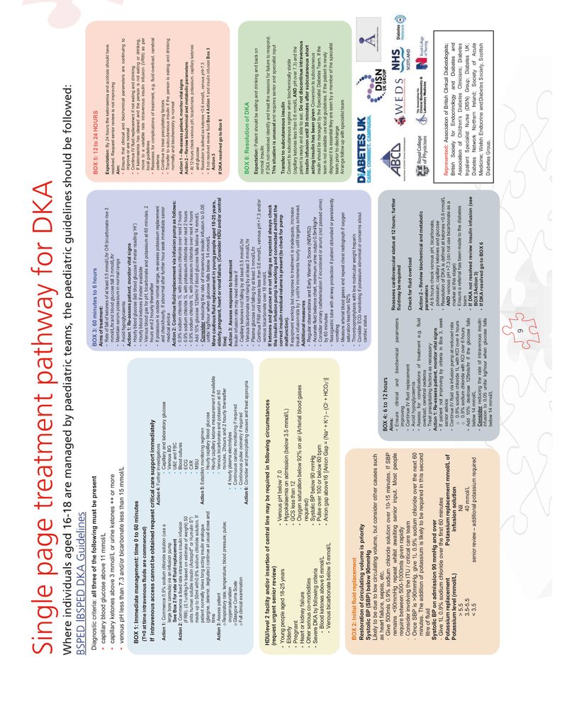 DKA UPDATED GUIDELINES cover