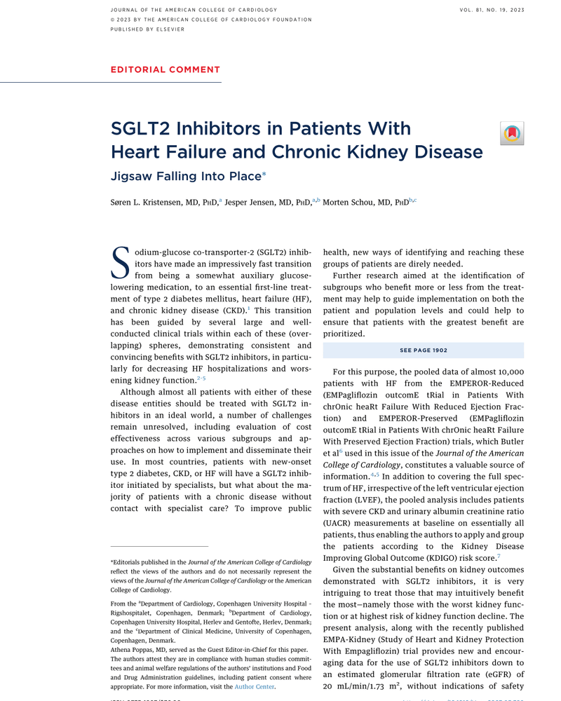SGLT2 INHIBITORS IN PATIENTS WITH HEART FAILURE AND CHRONIC KIDNEY DISEASE cover