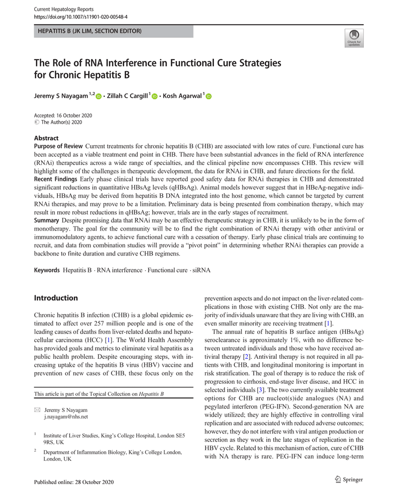 THE ROLE OF RNA INTERFERENCE IN FUNCTIONAL CURE STRATEGIES FOR CHRONIC HEPATITIS B cover