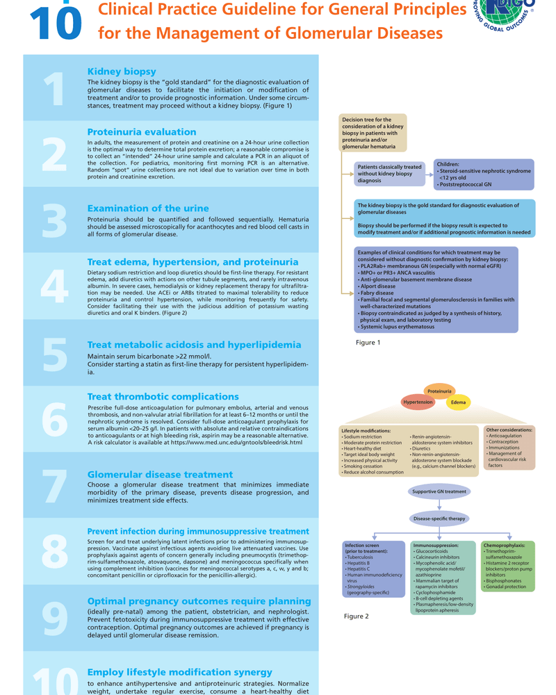 TOP 10 TAKEAWAYS FOR CLINICIANS FROM THE KDIGO 2021 CLINICAL PRACTICE GUIDELINE FOR GENERAL PRINCIPLES FOR THE MANAGEMENT OF GLOMERULAR DISEASES cover