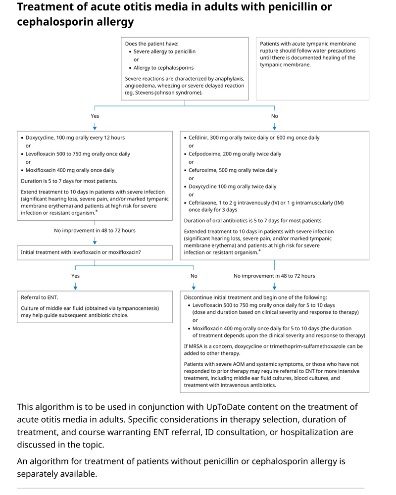 TREATMENT OF ACUTE OTITIS MEDIA IN ADULTS WITH PENICILLIN OR CEPHALOSPORIN ALLERGY cover