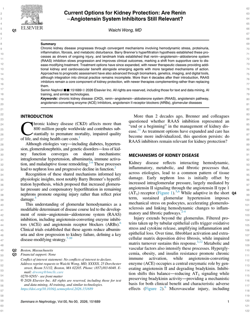 CURRENT OPTIONS FOR KIDNEY PROTECTION: ARE RENIN –ANGIOTENSIN SYSTEM INHIBITORS STILL RELEVANT? cover