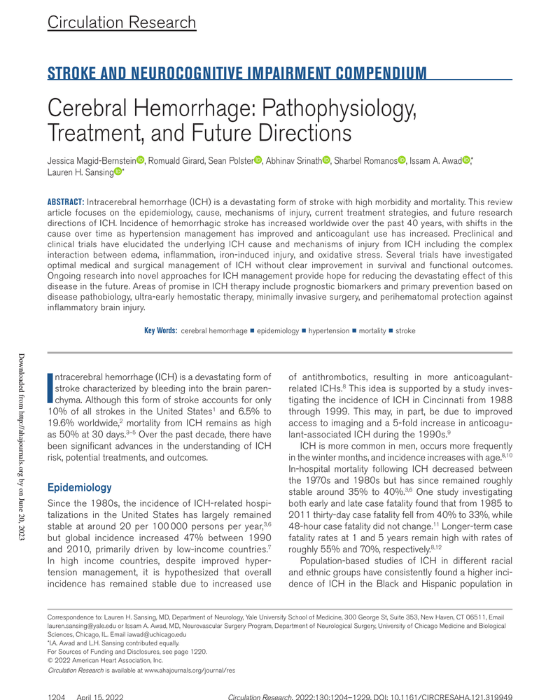 STROKE AND NEUROCOGNITIVE IMPAIRMENT COMPENDIUM cover