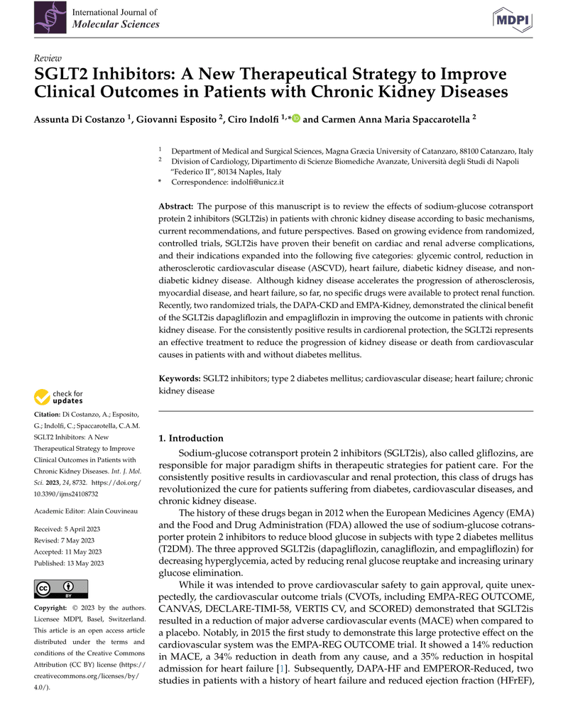 SGLT2 Inhibitors: A New Therapeutical Strategy to Improve Clinical Outcomes in Patients with Chronic Kidney Diseases cover