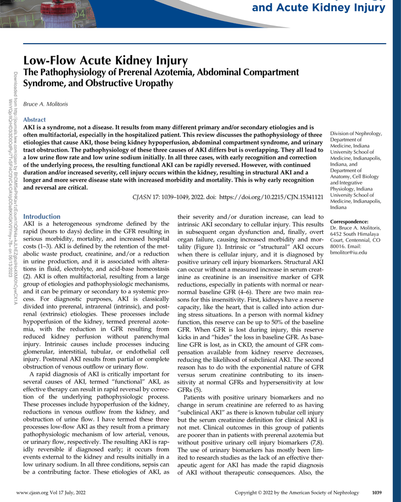 LOW-FLOW ACUTE KIDNEY INJURY cover