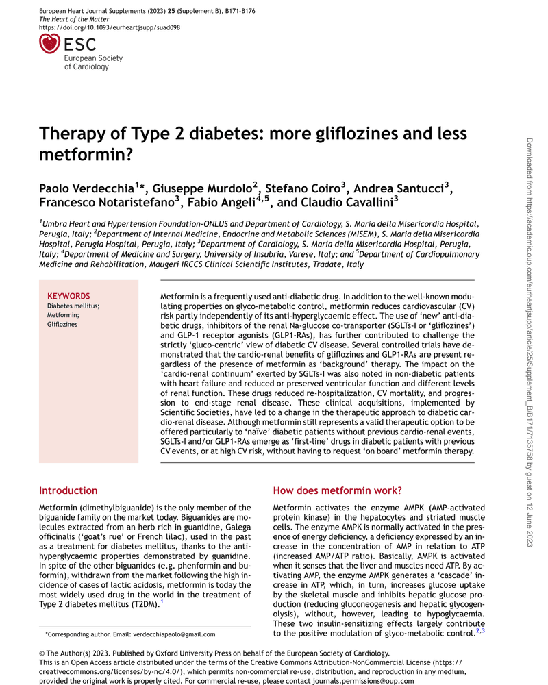 THERAPY OF TYPE 2 DIABETES: MORE GLIFLOZINES AND LESS METFORMIN? cover