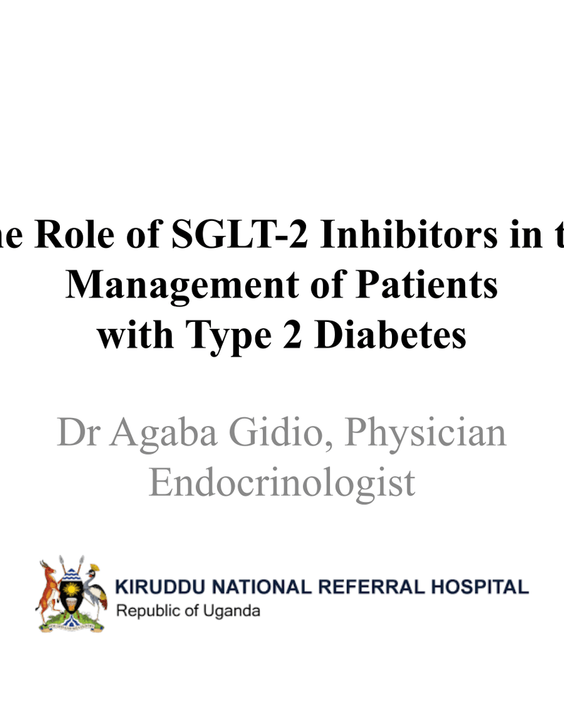 THE ROLE OF SGLT-2 INHIBITORS IN THE MANAGEMENT OF PATIENTS WITH TYPE 2 DIABETES cover