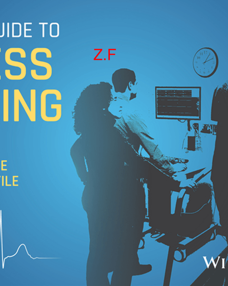 POCKET GUIDE TO STRESS TESTING cover