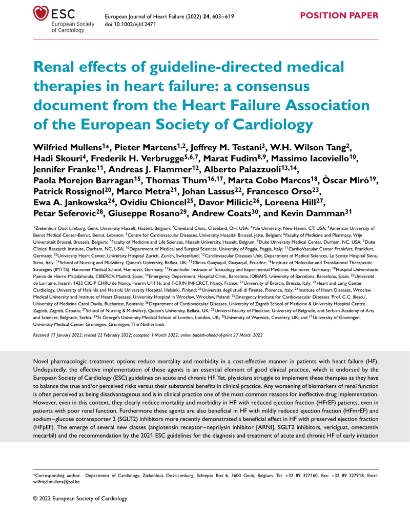 Renal effects of guideline-directed medical therapies in heart failure: a consensus document cover