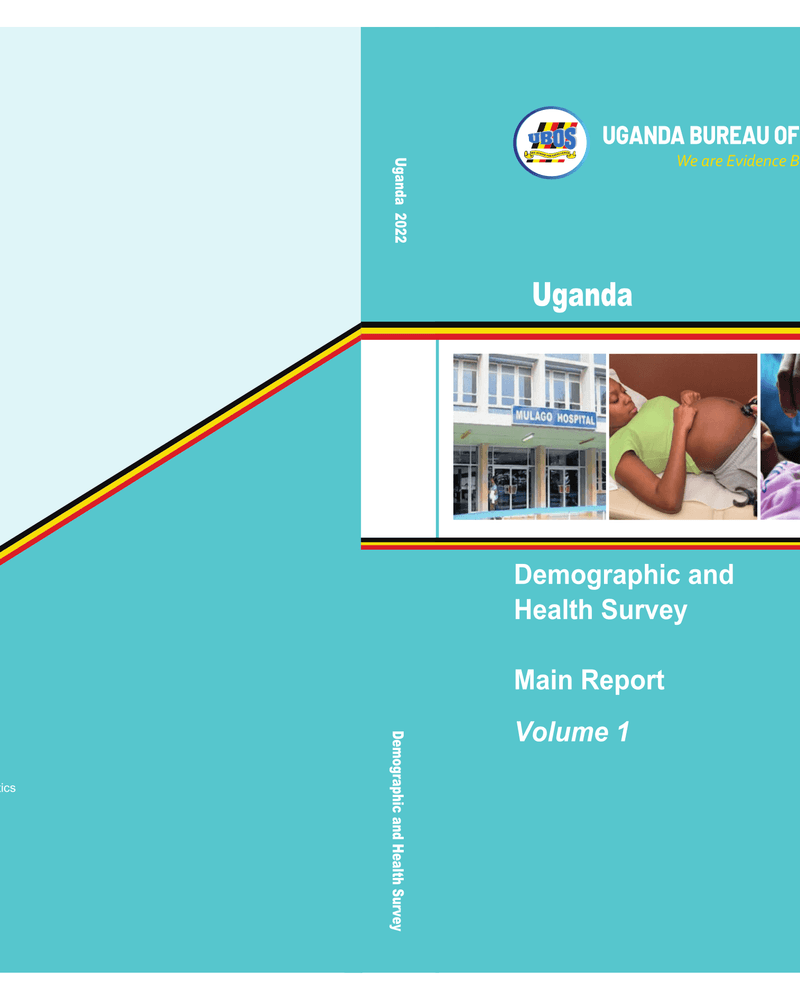 UDHS-2022-Report cover