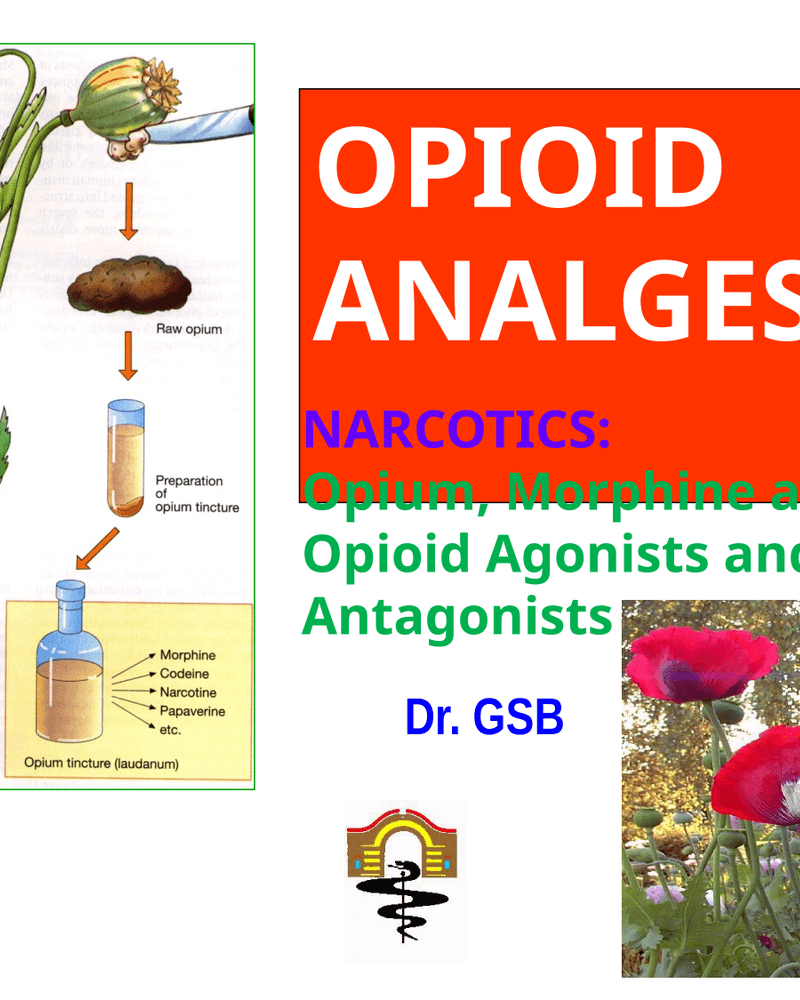 Narcotic-Opioid Analgesics May 2015 (2) cover