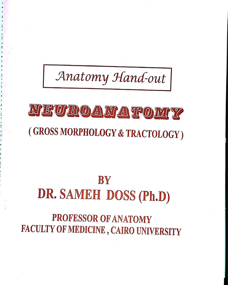 Neuroanatomy Notes Sameh Doss (Anatomy Decoded YouTube) (2) cover