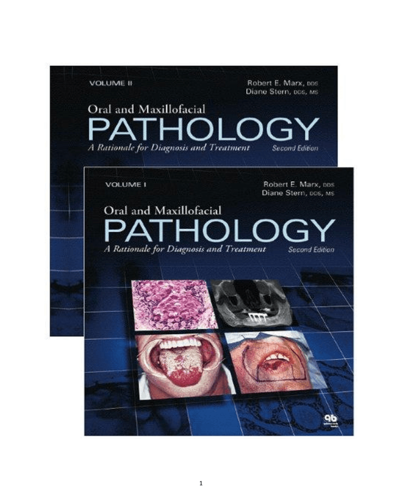 Marx & Stern Oral and Maxillofacial Pathology 2e cover