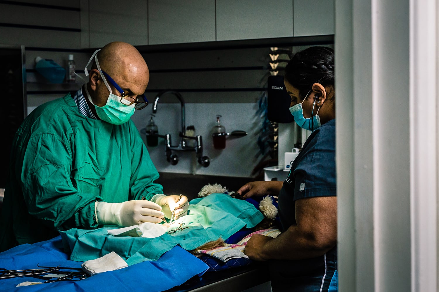 triage vets Veterinary clinic brand identity