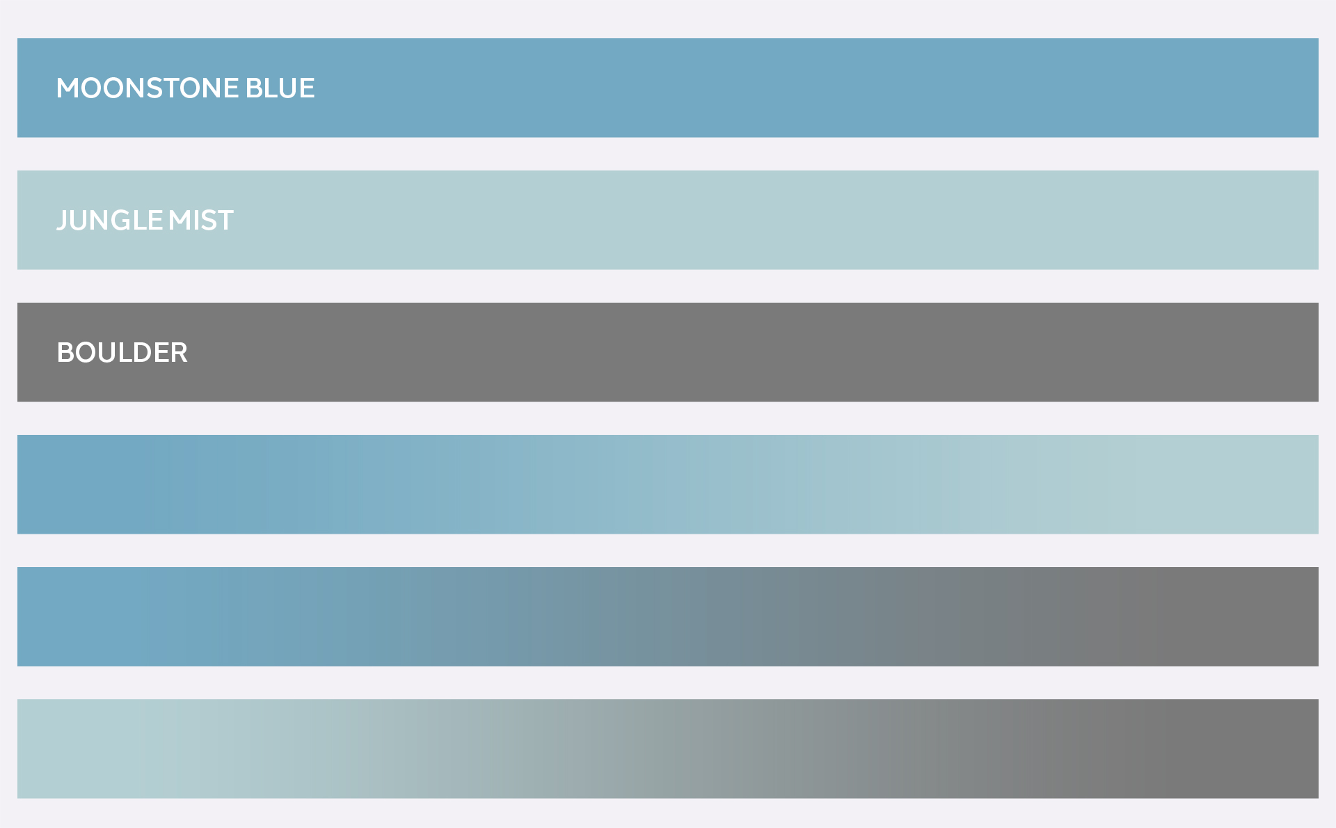 Veterinary Clinic Brand Identity: Transforming Triage Vets Colour Palette
