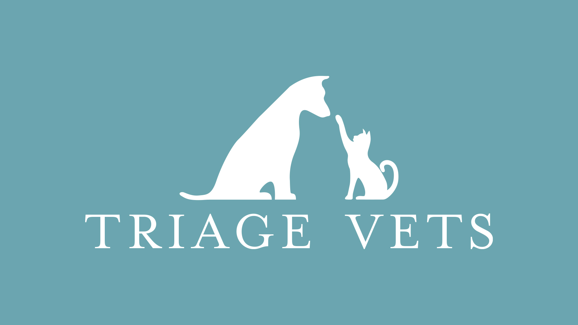 Veterinary Clinic Brand Identity: Transforming Triage Vets Logo Design