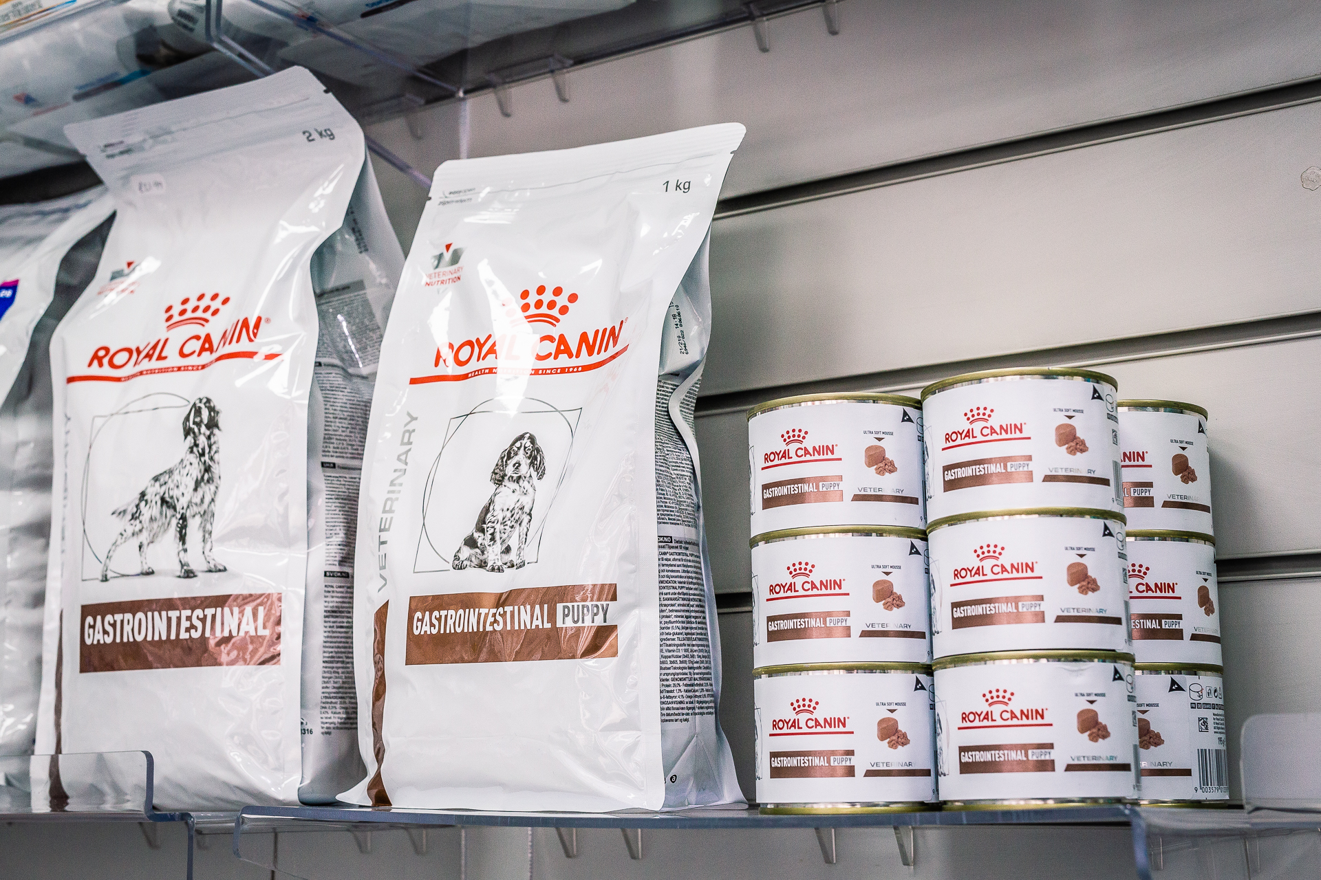 Veterinary Clinic Brand Identity: Transforming Triage Vets Animal Photography