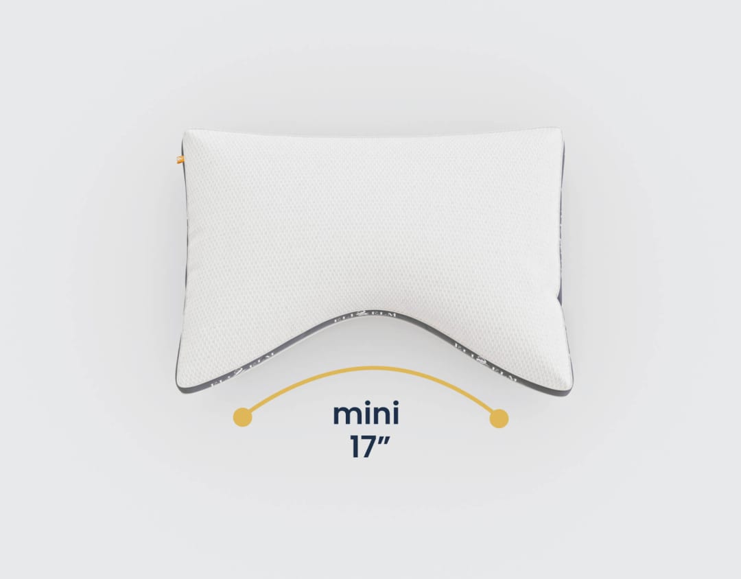 ssPillowMini