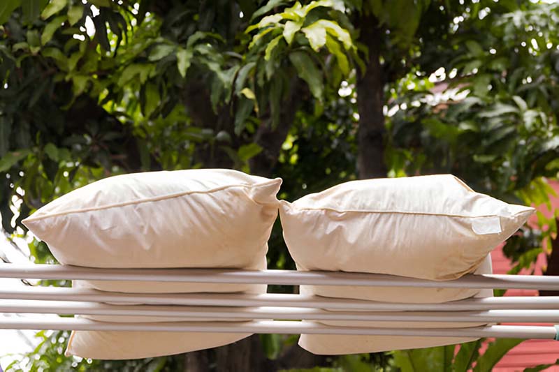 How to Keep Your Pillow Hygienic and Fresh?
